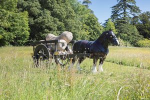 0U9A4943-Edit A sculpture of a black horse pulling a wooden cart carrying large stone shapes, displayed in a wildflower meadow with trees in the background.