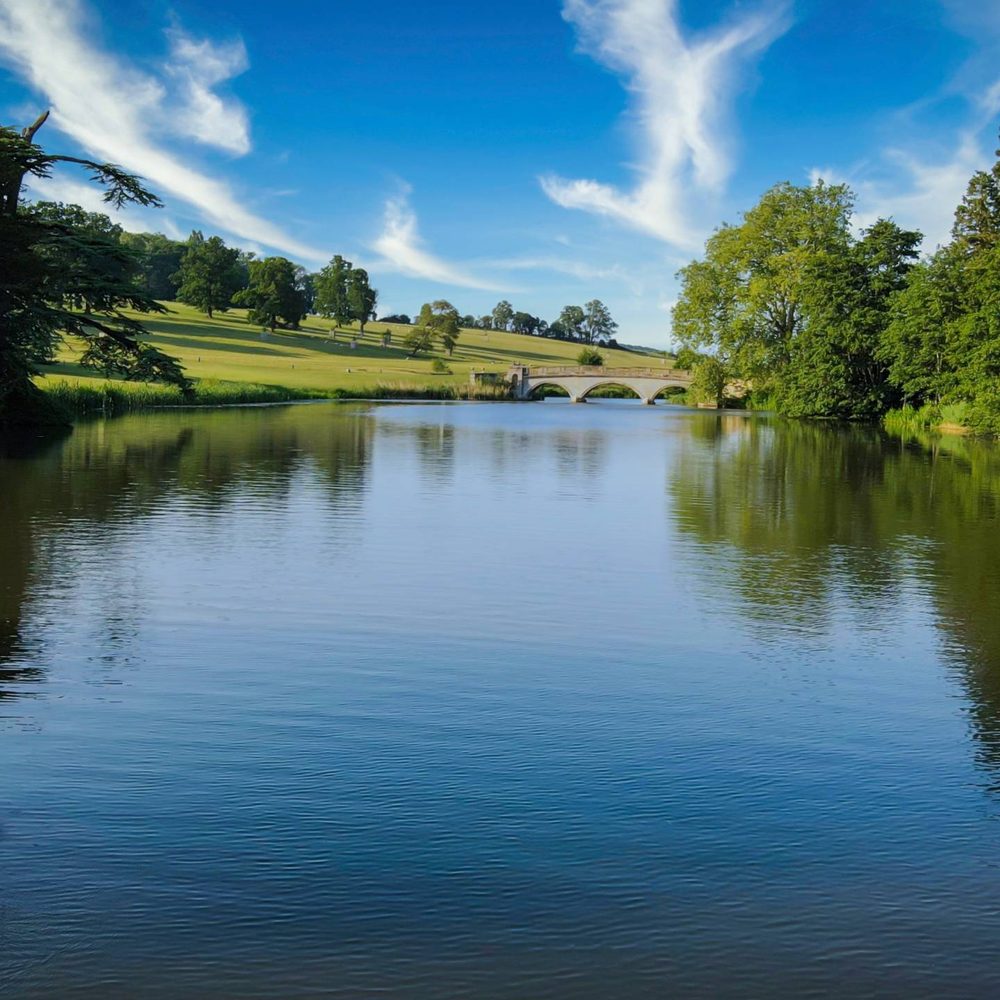 A large blue lake surrounded by luscious green trees.