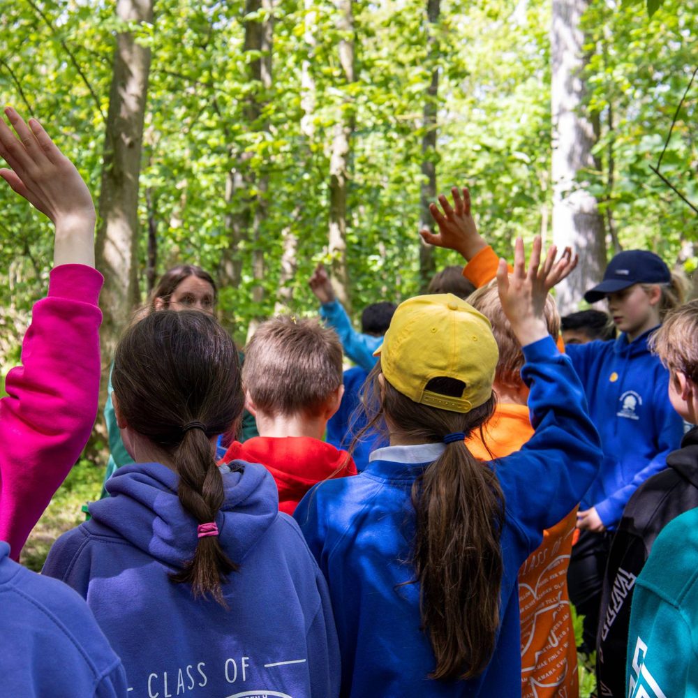 A group pf school students in blue uniform stand in a sunny woodland raising their arms to answer a question.