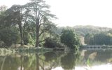 Beautiful trees and plants stand alongside a large lake on a sunny day, reflecting in the water