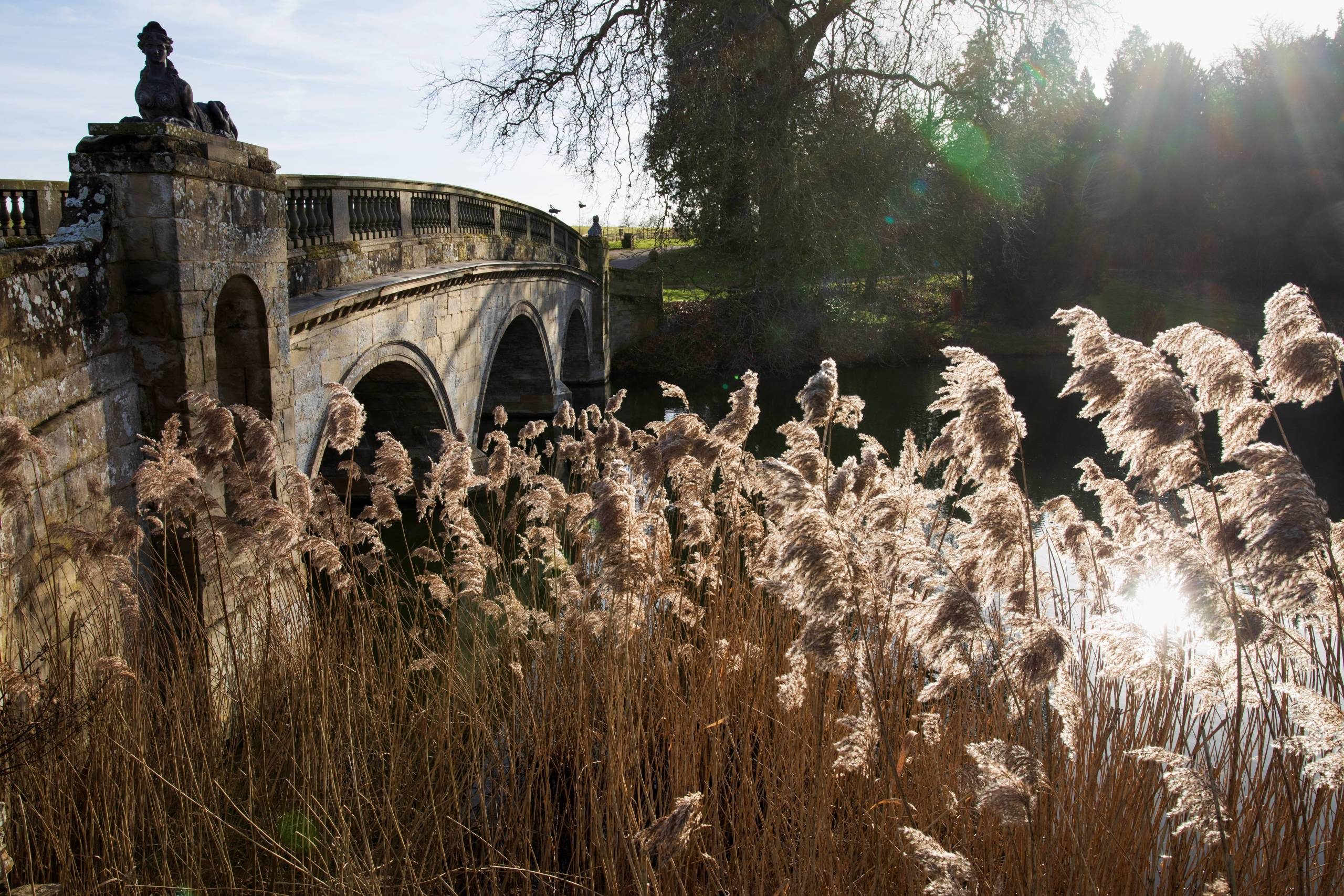 An historic stone bridge with sphynx statues over a lake surrounded by pampas grass