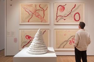 Louise Bourgeois Nature Study © Compton Verney, photography by Jamie Woodley (2) An art gallery exhibition with abstract paintings and sculptures. There are four framed abstract paintings with red and pink shapes on the walls. In the centre is a white cone-shaped sculpture on a pedestal. A person in a white shirt is viewing the artwork.