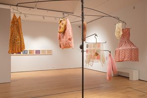 Louise Bourgeois Nature Study © Compton Verney, photography by Jamie Woodley (58) An installation of dresses, lingerie and fabric pieces in pastel colours hanging from the metal armature. The installation takes up most of the gallery space. There are other art works on the walls.