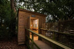 A wooden bird hide structure with an open front, surrounded by trees in a forested area.
