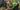 CA2965-aspect-ratio-2-1