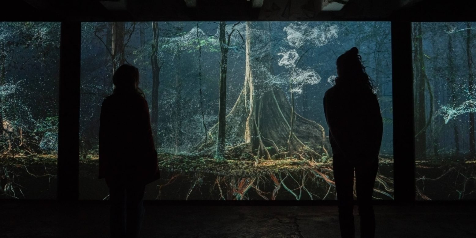2025 at Compton Verney | Compton Verney
