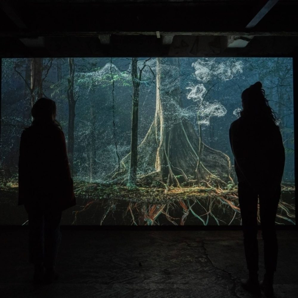 An immersive projection or display of a mystical forest scene, with two silhouetted figures viewing it. The forest has an ethereal blue-green glow with intricate root systems visible.