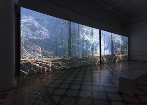Breathing with the Forest, Installation View © Compton Verney and Jamie Woodley (1)