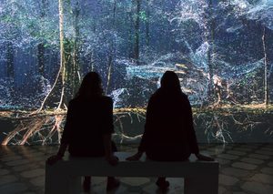 Breathing with the Forest, Installation View © Compton Verney and Jamie Woodley (15)