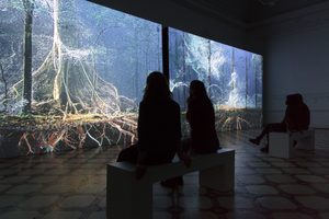 Breathing with the Forest, Installation View © Compton Verney and Jamie Woodley (21)