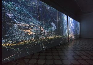 Breathing with the Forest, Installation View © Compton Verney and Jamie Woodley (27)