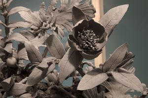 A Tea Journey (c) Compton Verney, photography by Jamie Woodley (12)