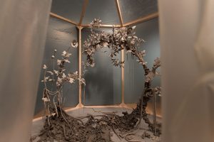 A Tea Journey (c) Compton Verney, photography by Jamie Woodley (9)
