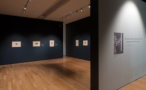 Whistler and Nature exhibition (c) Compton Verney, photography by Jamie Woodley (12)
