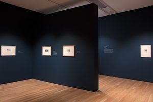 Whistler and Nature exhibition (c) Compton Verney, photography by Jamie Woodley (21)