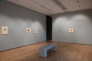 Whistler and Nature exhibition (c) Compton Verney, photography by Jamie Woodley (34)
