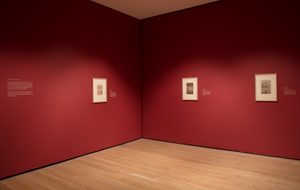 Whistler and Nature exhibition (c) Compton Verney, photography by Jamie Woodley (42)