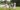 A family of four walking on grass beside a lake, laughing together in a lush green park setting.