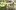 Compton-Verney-Summer-Activites-28July2024_Photo-by-Jamie-Gray-22-scaled-aspect-ratio-2-1