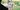 Plein-Air-Image-1-scaled-aspect-ratio-2-1
