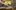 CA2692-aspect-ratio-2-1 a young boy with short blonde hair is crouching down on a wooden structure. He hammers a nail into a floorboard.