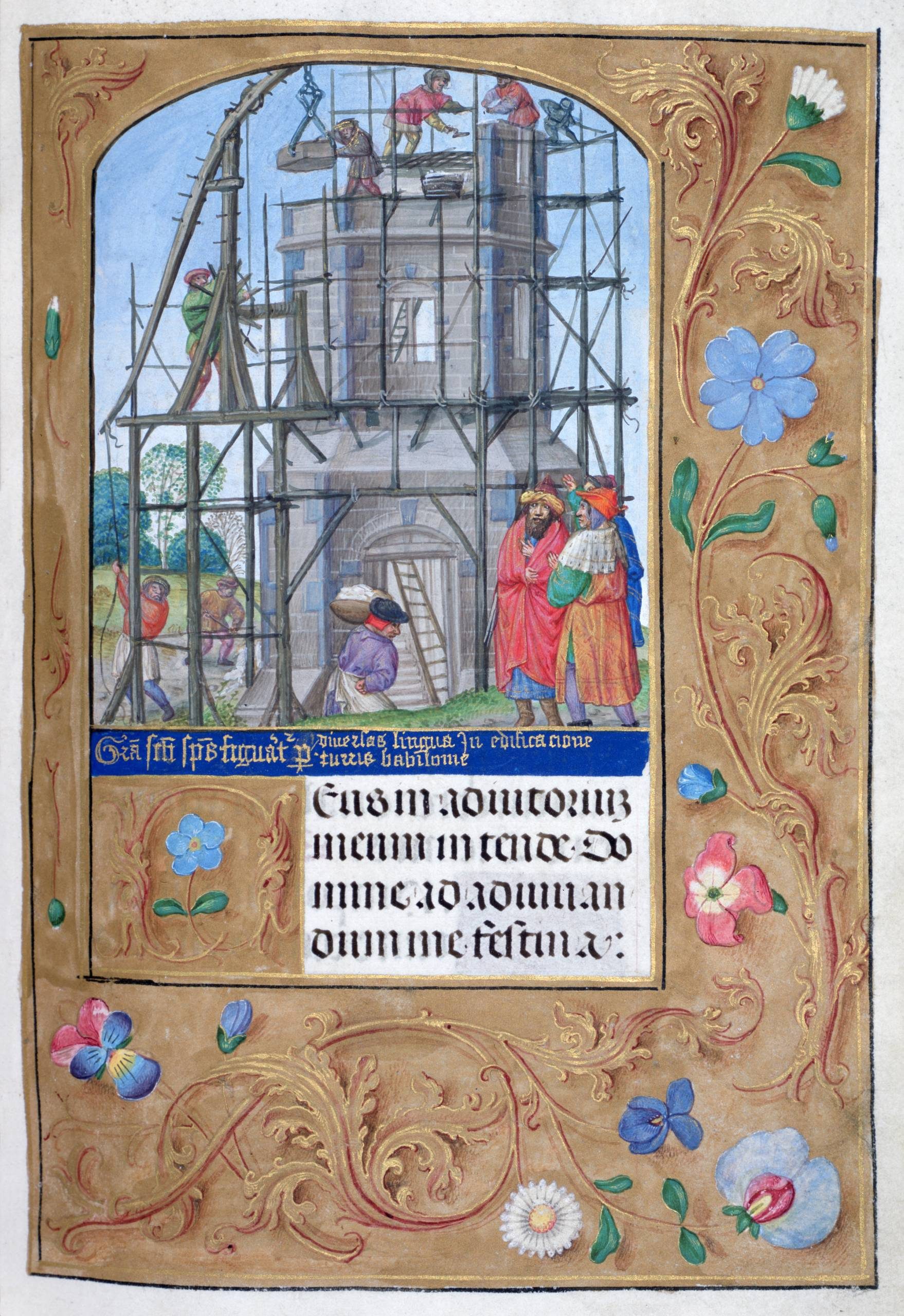 SM volume_137_26r