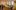 Compton_Verney_Easter_170425_0862_Credit_Andrew_Moore-aspect-ratio-2-1