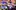 thumbnail_Flower-140-aspect-ratio-2-1