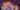 thumbnail_Flower-140-aspect-ratio-2-1