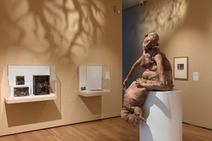 The Shelter of Stories, Installation View © Compton Verney and Jamie Woodley (22)